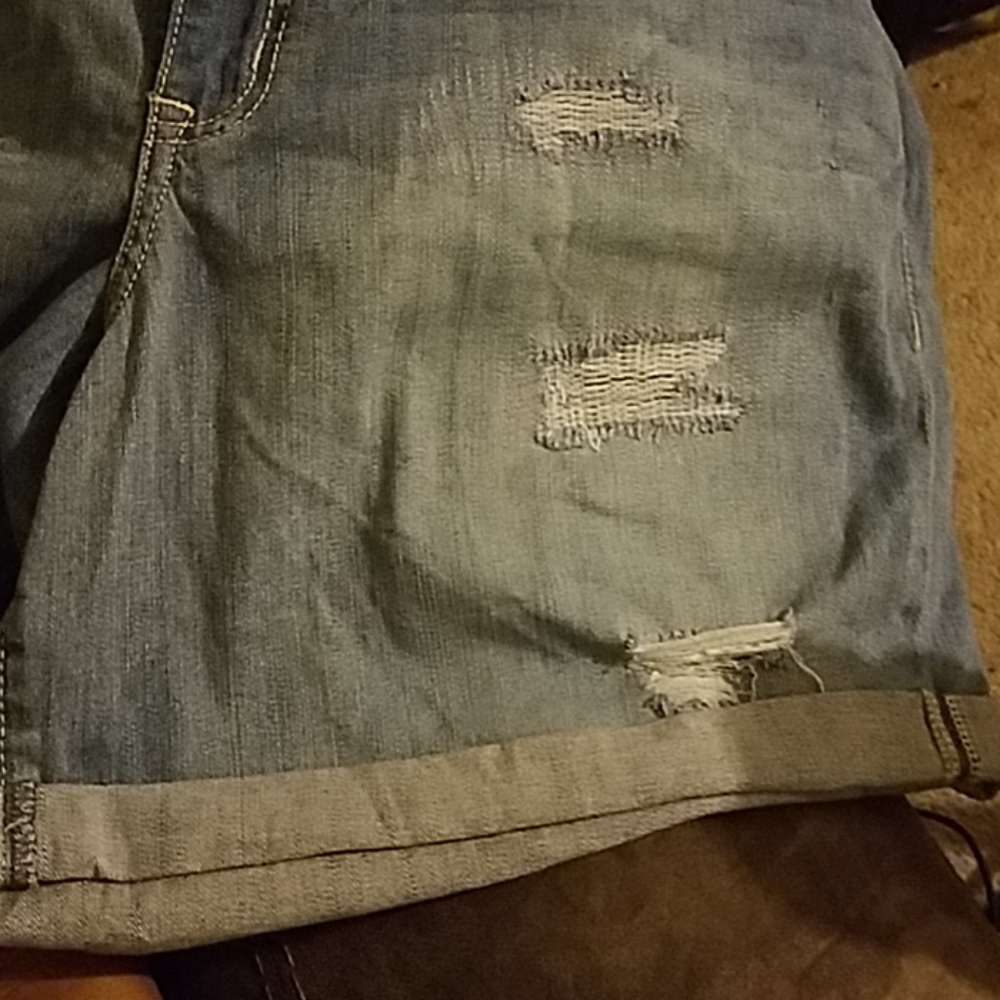 Lane Bryant Shorts NWT
